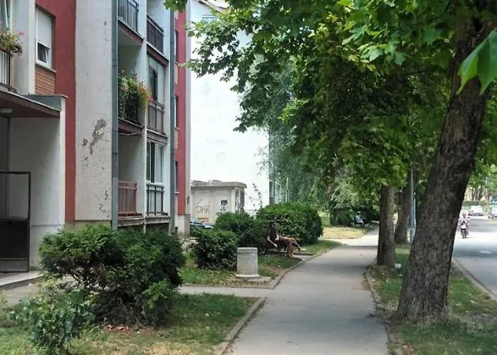 Lavanda * ヴルドニーク